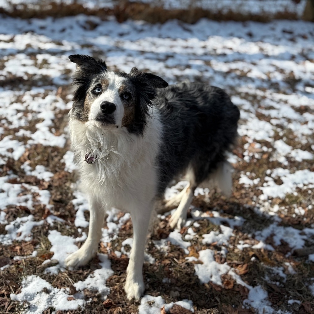 Meet your Posher, Caitlin